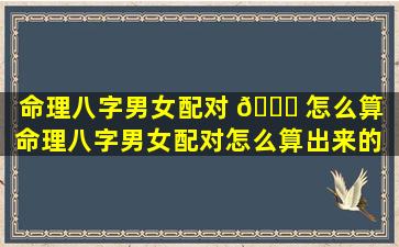 命理八字男女配对 🐅 怎么算「命理八字男女配对怎么算出来的 🐝 」